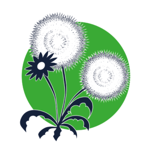 Programa Semillas en Marte — Programa SEMINARE — educación STEM aeroespacial para colegios en Colombia